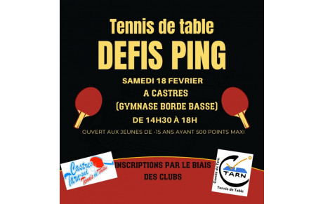 2 ème défis ping