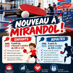 Création d'une antenne sur le site de Mirandol Bourgnounac
